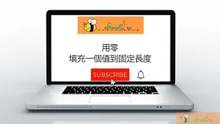用零填充一個值到固定長度