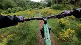 Trailtime! Vol. 4 Stoneman Arduenna
