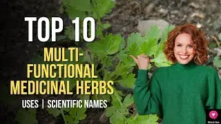 Top 10 MULTI-FUNCTIONAL Medicinal Herbs | Medicinal Plants You Can Grow At Home | BlissedZone