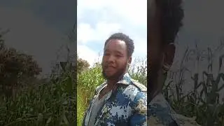 How we live in Africa 