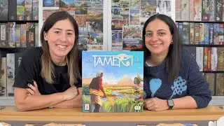 Beyond the Marbles: A Closer Look at Tameri 🟡🔵| Board Game Preview