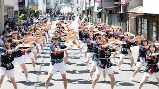 山形大学花笠サークル 四面楚歌 茨城県大子町 常陸国YOSAKOI祭り 2024.5.18