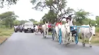 Karayappatti rekla race