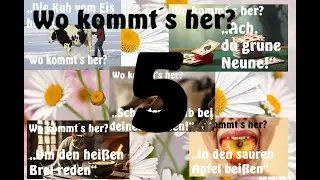 5 bekannte Sprichw&ouml;rter erkl&auml;rt &ndash; kurz, spannend & unterhaltsam!