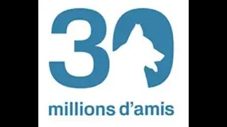Reha Hutin : la pêche au requin avec un chien comme appât à la Réunion - On a tout essayé 11/10/05