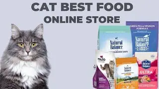 Premium Cat Food Selections for Health|Talis-us pet store