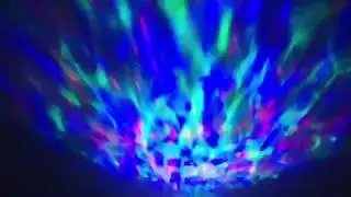 Weird Beast Beautiful Ocean Lights