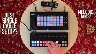 Snow Biz ❄️ Torso T1 Sequencer + Ableton Move (DAWless not FLAWless)