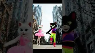 These Dancing Cats Just Broke the Internet #UrbanCats #JackRemix