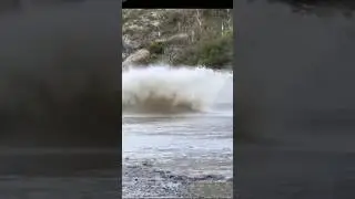 Hilux water crossing vs Scorpio water crossing #shorts  #shortvideo #youtubeshorts