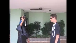 Panicalien