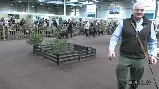 ,,Präsentation der Jagdhunderassen 