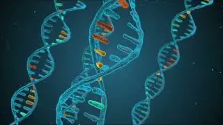 Understanding DNA: 3D Animation of the Double Helix and Base Pairing