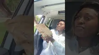Feeding animals though car window #animals #funny #funnyanimals #fyp #funnyvideos #zoo