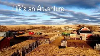 KDH Adventures Cattle Ranching in Fir Mountain