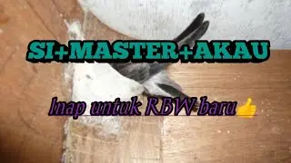SI MASTER AKAU👍