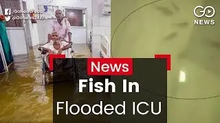 Fish In Flooded ICU