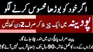 Respond to disrespect with respect. | Best Urdu Golden Words | Latest Quotes about Life|Amna Quotes