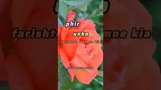 Quran translation in Roman Urdu #beautiful  Recitation #quranloves#quran#motivation#life#quotes#love