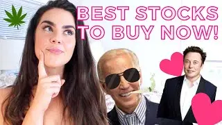 BEST STOCKS to BUY Now that JOE BIDEN is President | How to GROW YOUR PORTFOLIO in 2021