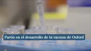 Coronavirus: Suspenden ensayos de la vacuna de Oxford por 