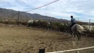PRE Poseído LII ejemplar en venta.