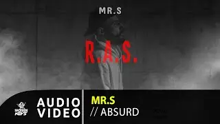 Mr.S - Absurd