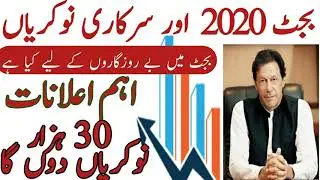budget 2020 jobs | اس بجٹ میں بے روزگاروں کے لیے کیا ہے | کون سے محکمے جابز دیں گئے