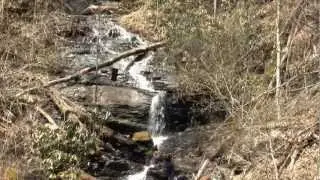 Logging Road Falls, Pisgah National Forest, NC