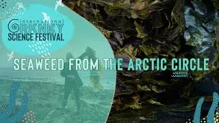SEAWEED FROM THE ARCTIC CIRCLE