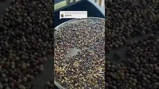 Making Jack Daniels Honey Peppercorns, part 3