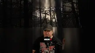 Они нашли их висящими на деревьях&hellip; 😨🪵