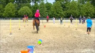 Danmarksmestre Ponygames  2014