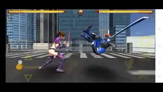 Fighting Tiger Game Over Screen 