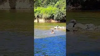 Kumaradhara River kukke subramanya