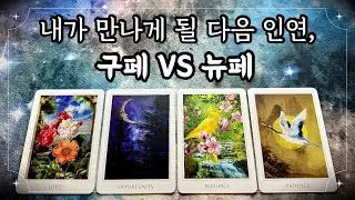 [타로] 구페 VS 뉴페, 뭐가 됐든 제발 좋은 사람을. #적중률타로
