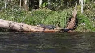 Lower Suwannee National Wildlife Refuge