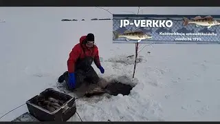 Talviverkoilla 27.1.26 NYT RYSÄHTI! herkkä verkko vuorossa