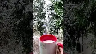 Snowfall in slow motion