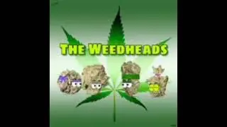 Weed Heads Are Very Emotional People
