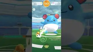 PIKACHU VS MARILL Raid Challenge! Pokemon Go #shorts