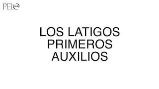 Los L&aacute;tigos - Tachar (Primeros Auxilios)