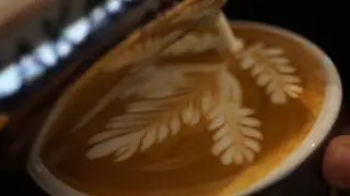 How to make 5 rosettas latte art | cara membuat latte art 5 rosetta