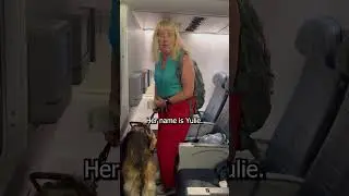 Flying on the plane with a Guide Dog 🐾❤️😊✈️🦮🦯