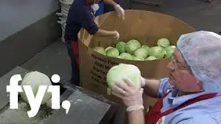 Food Factory USA: Making Slawsa Magic | Home.Made.Nation