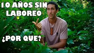 HUERTA SIN LABOREO & SIN QUIMICOS &iquest;Mito o Realidad?