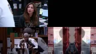 The Brooklyn Nine Nine Arrest Skelefang