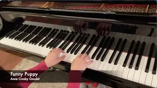 Funny Puppy | RCM level 3