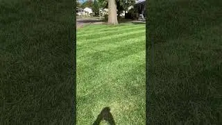 Overseed results