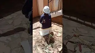 apple plant alignment and required size for allowing branches details in English